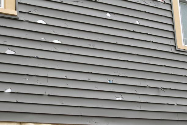 Best Shed Removal  in West End, NY